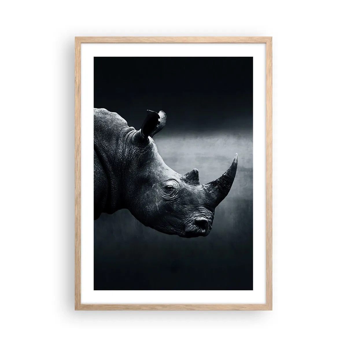 Poster in cornice rovere chiaro - Profilo destro - 50x70 cm