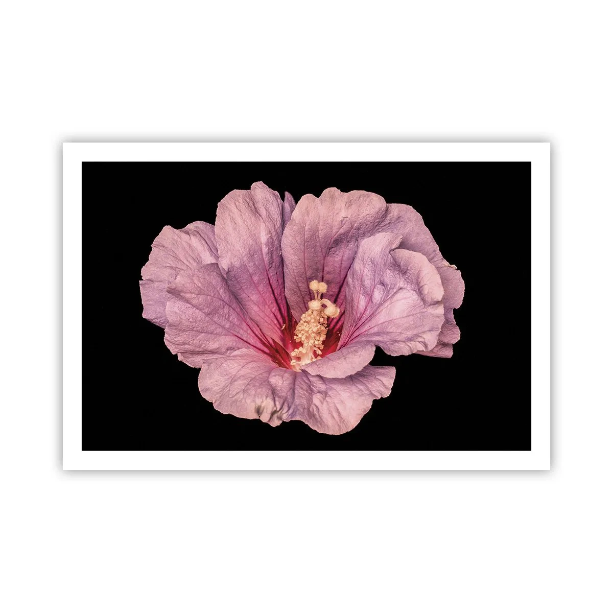 Poster - Dritto al cuore - 91x61 cm