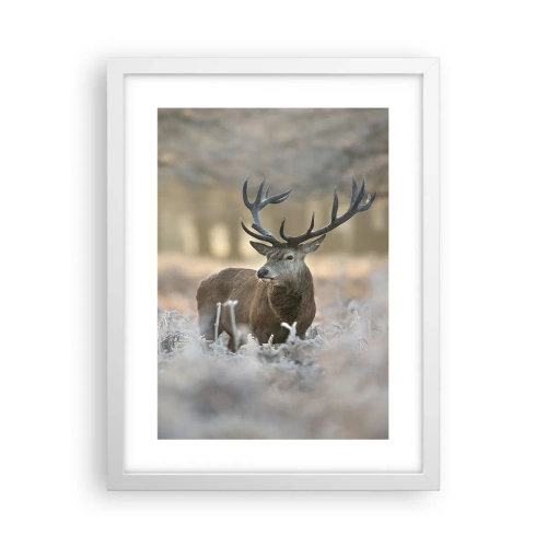 Poster in cornice bianca - Fresco mattino - 30x40 cm