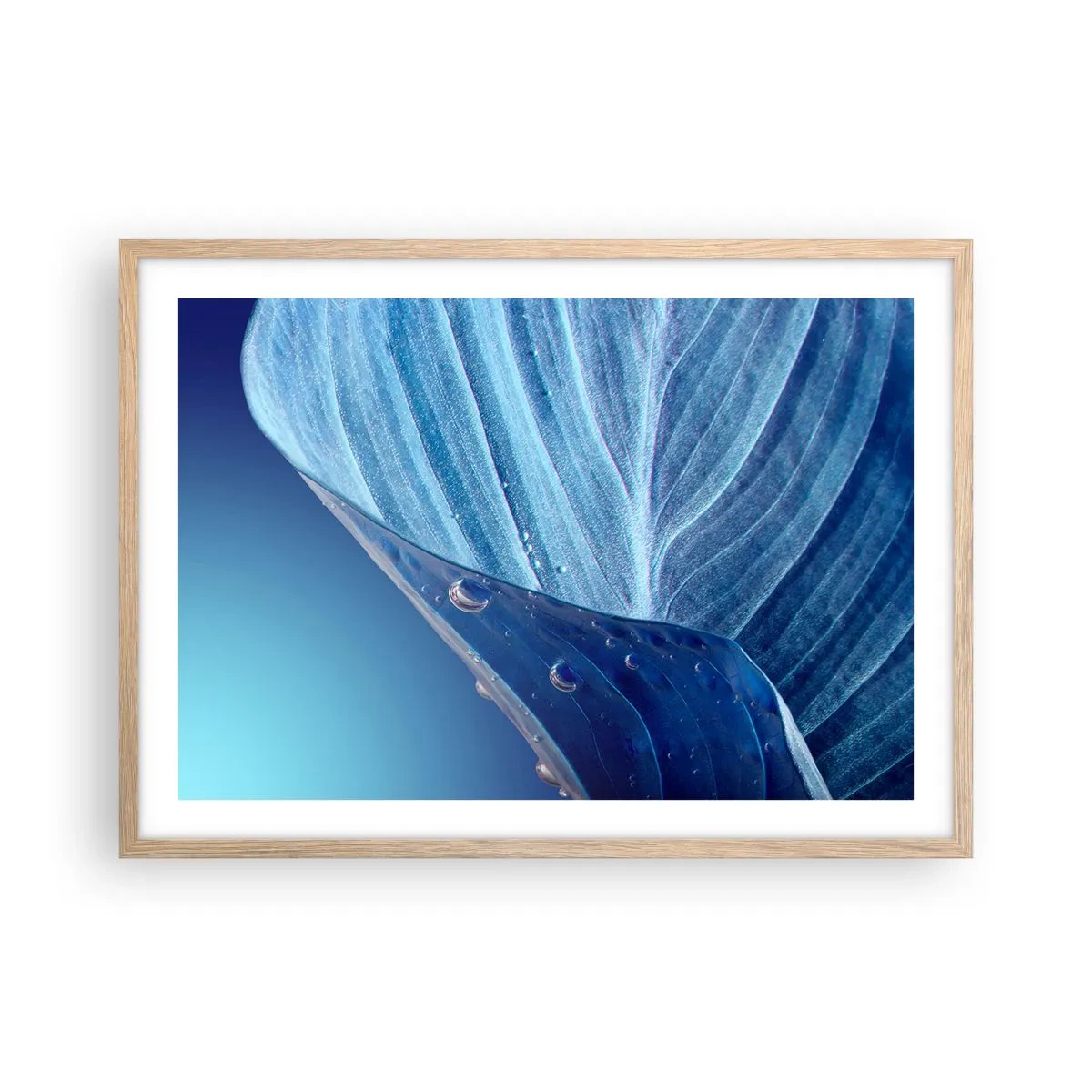 Poster in cornice rovere chiaro - Gocce di blu nascoste - 70x50 cm
