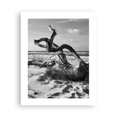 Poster - Scolpito dal mare - 40x50 cm