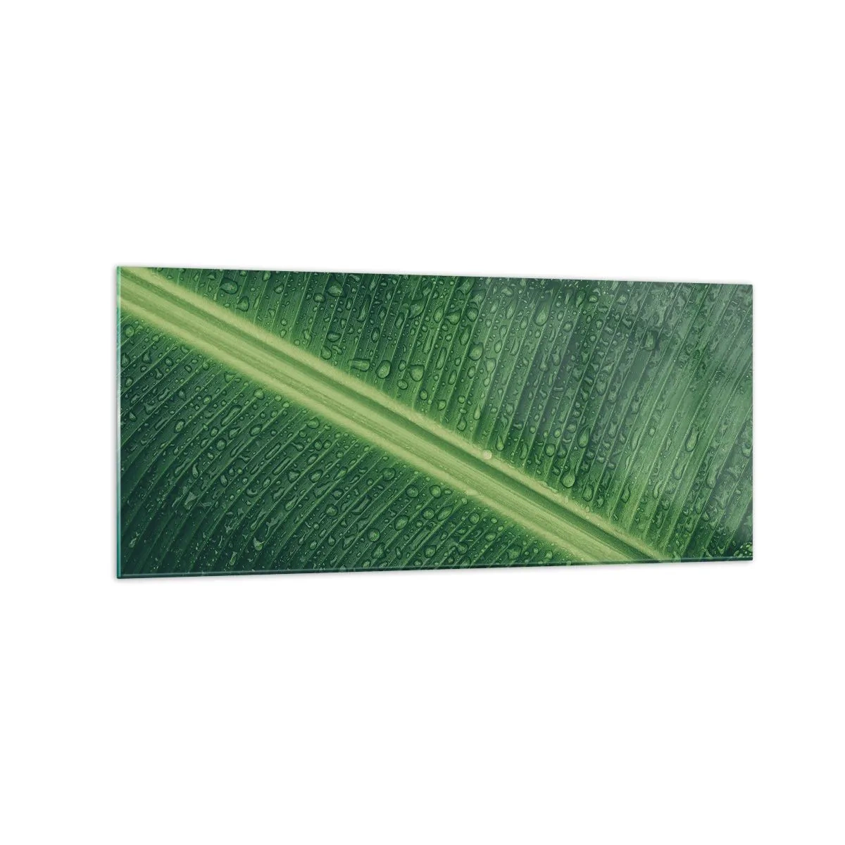Quadro su vetro - Una foglia verde con gocce d'acqua sulla sua superficie - 120x50cm - La struttura del verde - Decorazione murale moderna per soggiorno e camera da letto ARTTOR