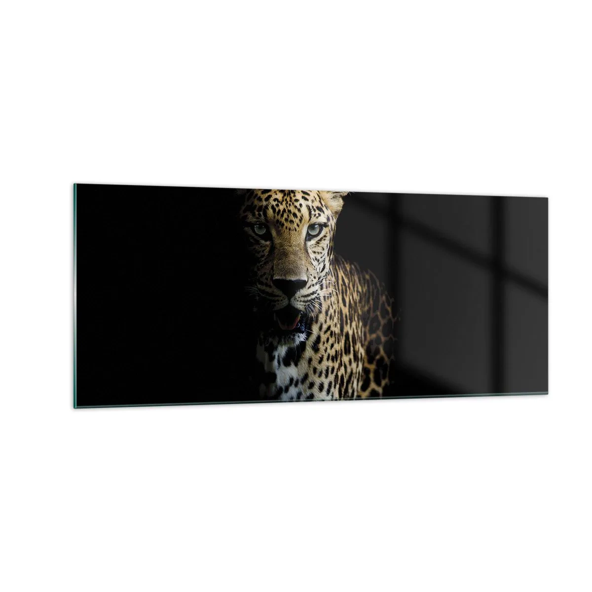 Quadro su vetro - Bellezza tenebrosa - 100x40 cm