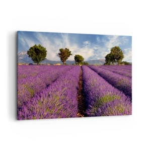 Quadro su tela - Stampe su Tela - Un campo di lavanda con alberi sullo sfondo di montagne e cielo - 100x70cm - Campi di lavanda - Decorazione murale moderna per soggiorno e camera da letto ARTTOR
