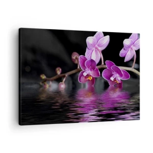 Quadro su tela - Stampe su Tela - Orchidee viola su acqua calma su sfondo nero - 70x50cm - La bellezza riflessa dai gigli - Decorazione murale moderna per soggiorno e camera da letto ARTTOR