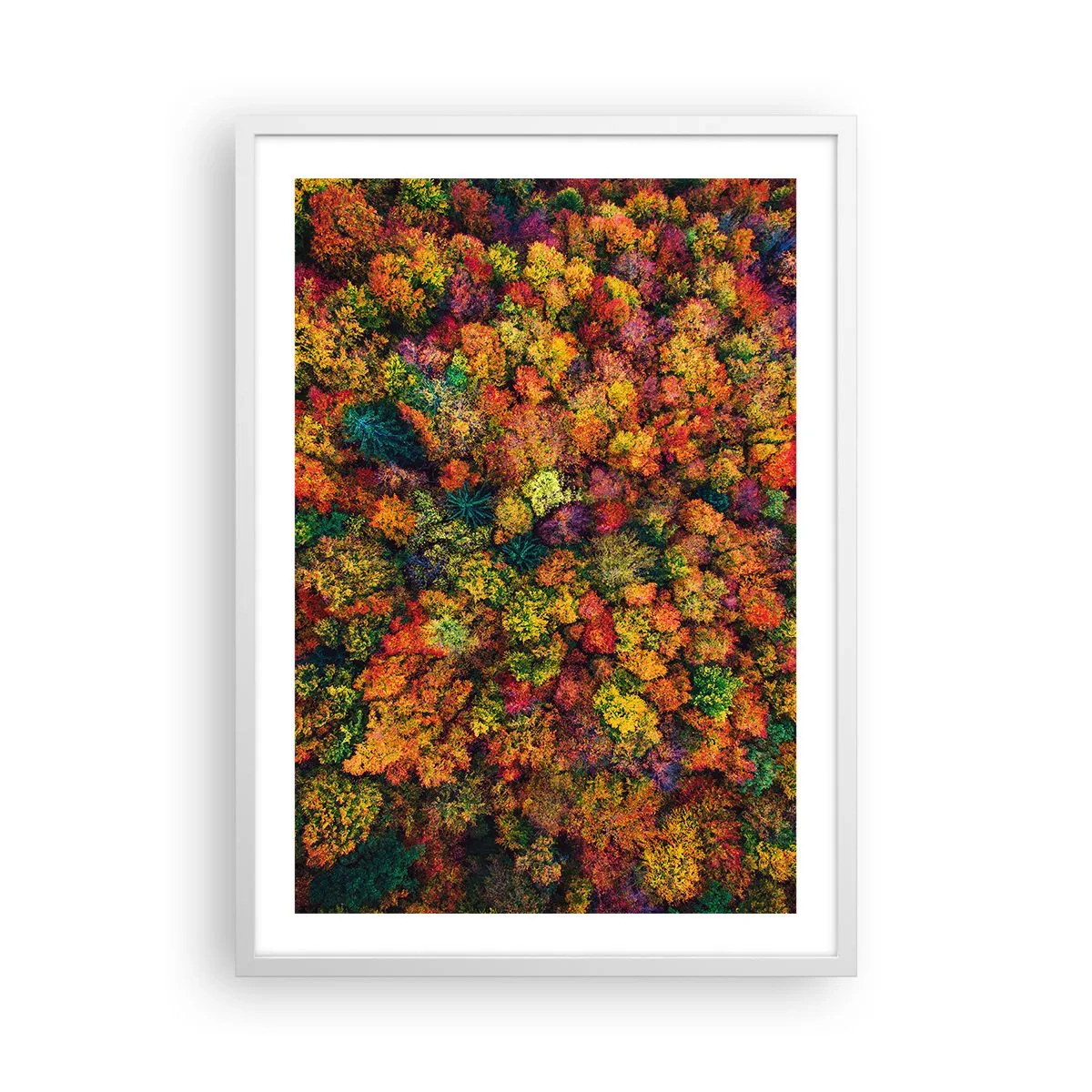 Poster in cornice bianca - Il bouquet degli alberi d'autunno - 50x70 cm