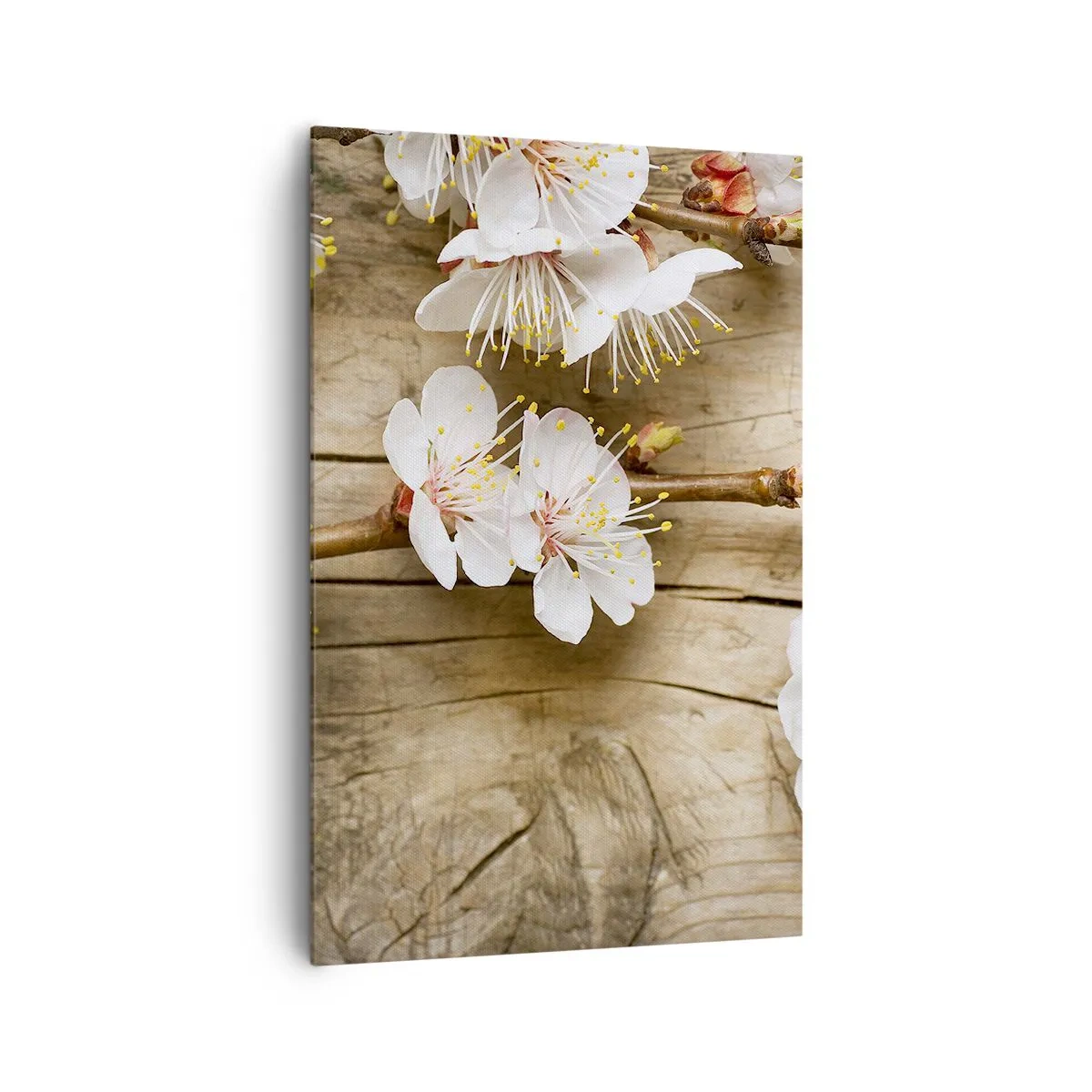 Quadro su tela - Stampe su Tela - Rami di ciliegi in fiore su uno sfondo di tavola di legno - 80x120cm - Ed è giunta la primavera - Decorazione murale moderna per soggiorno e camera da letto ARTTOR