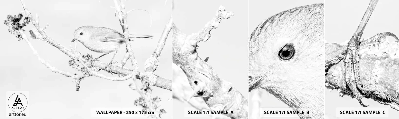 Campione di Fotomurale Adesivo Deluxe Sticker - Mattino invernale - Luminoso, Uccello, Natura - 100x30 cm