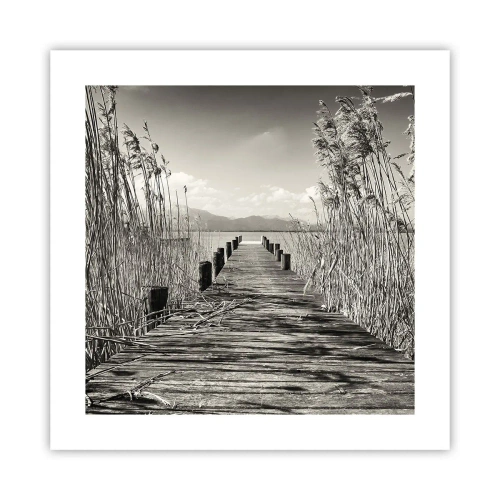 Poster - Nel silenzio dell'erba - 40x40 cm