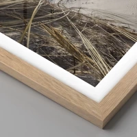 Rovere chiaro