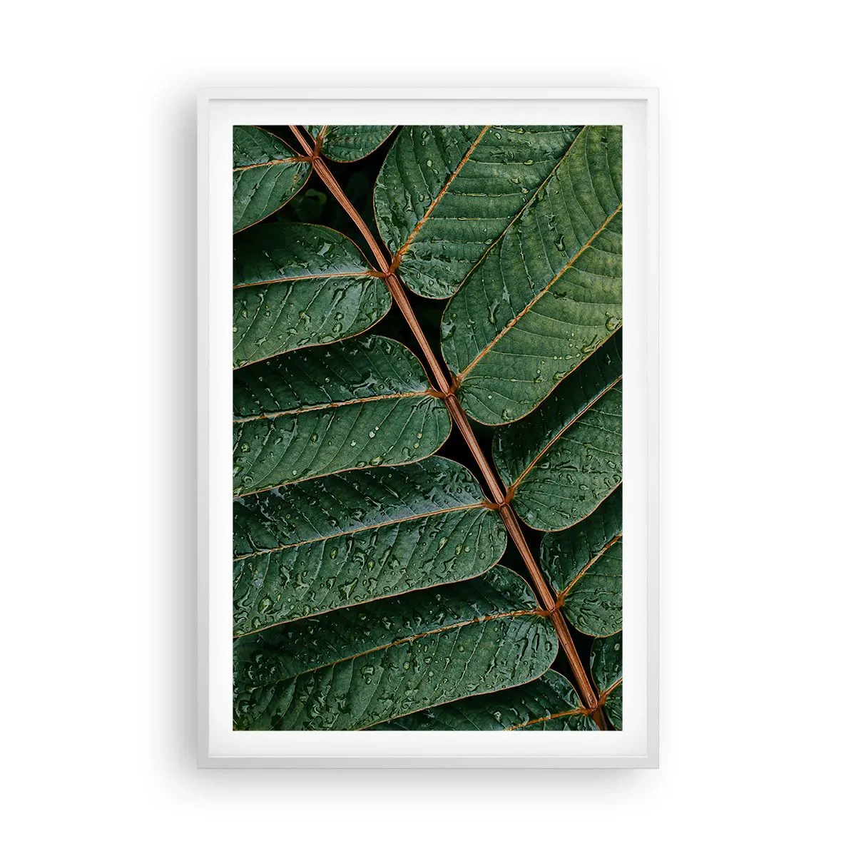 Poster in cornice bianca - Al ritmo verde - 61x91 cm