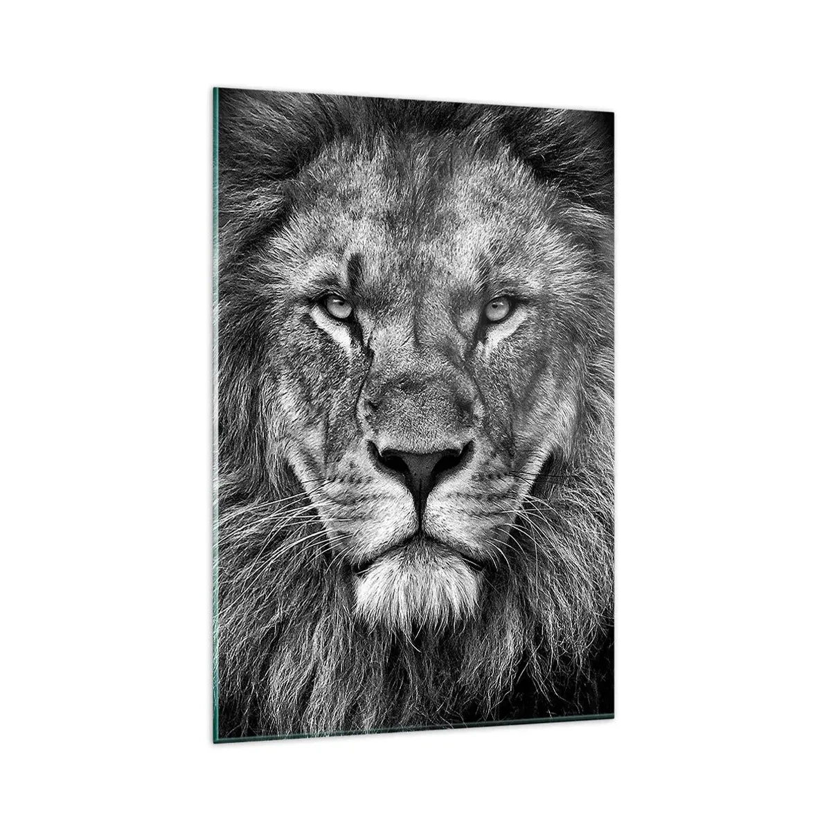 Quadro su vetro - Ritratto di un maestoso leone in bianco e nero - 80x120cm - Nell'abito dell'incoronazione - Decorazione murale moderna per soggiorno e camera da letto ARTTOR