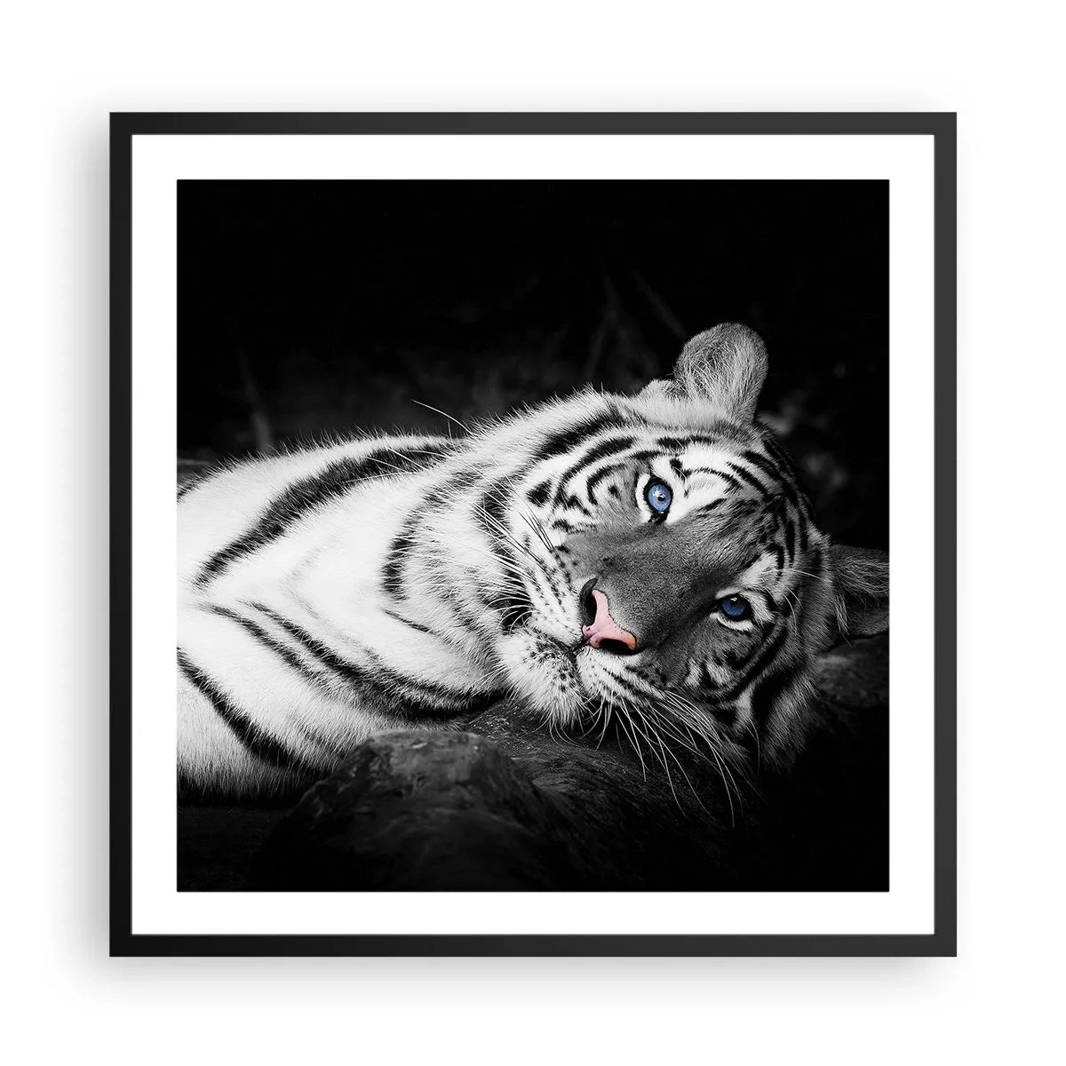 Poster in cornice nera - Selvaggità e pace - 60x60 cm