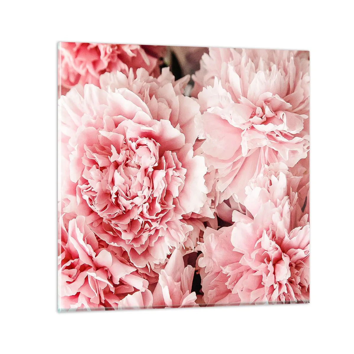 Quadro su vetro - Sogno rosa - 30x30 cm