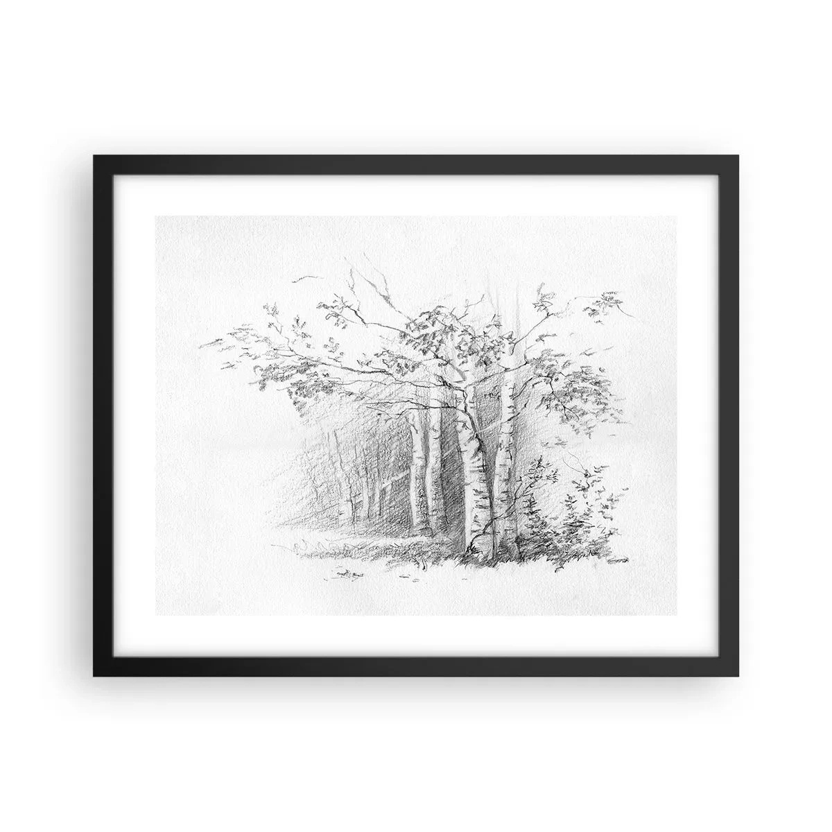 Poster in cornice nera - La luce della foresta di betulle - 50x40 cm