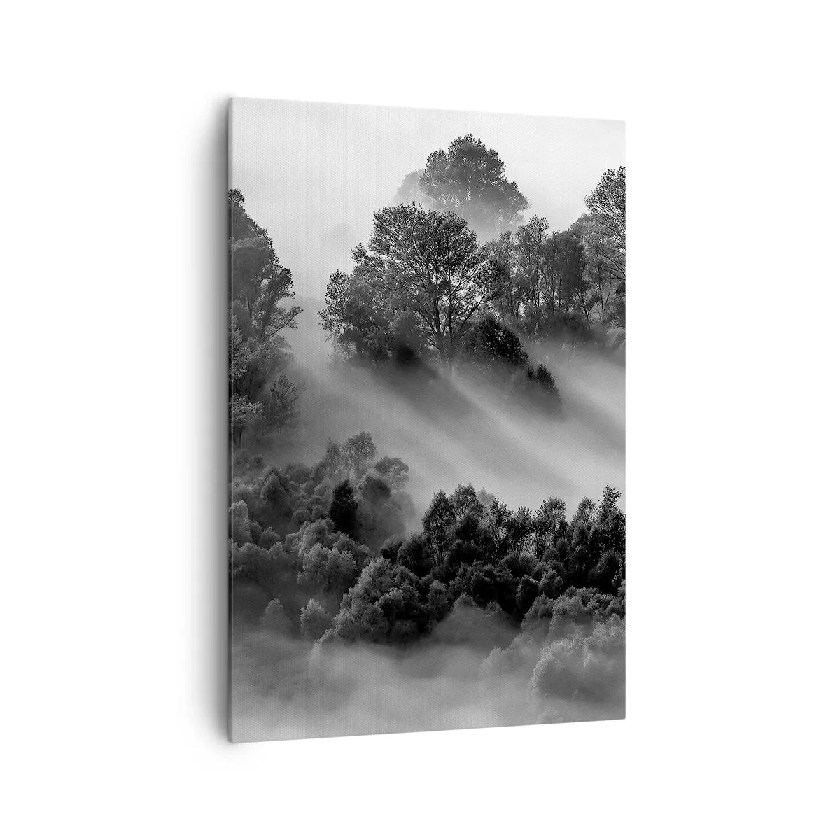 Quadro su tela - Stampe su Tela - Paesaggio forestale in bianco e nero nella nebbia mattutina - 70x100cm - Risveglio dal sonno - Decorazione murale moderna per soggiorno e camera da letto ARTTOR