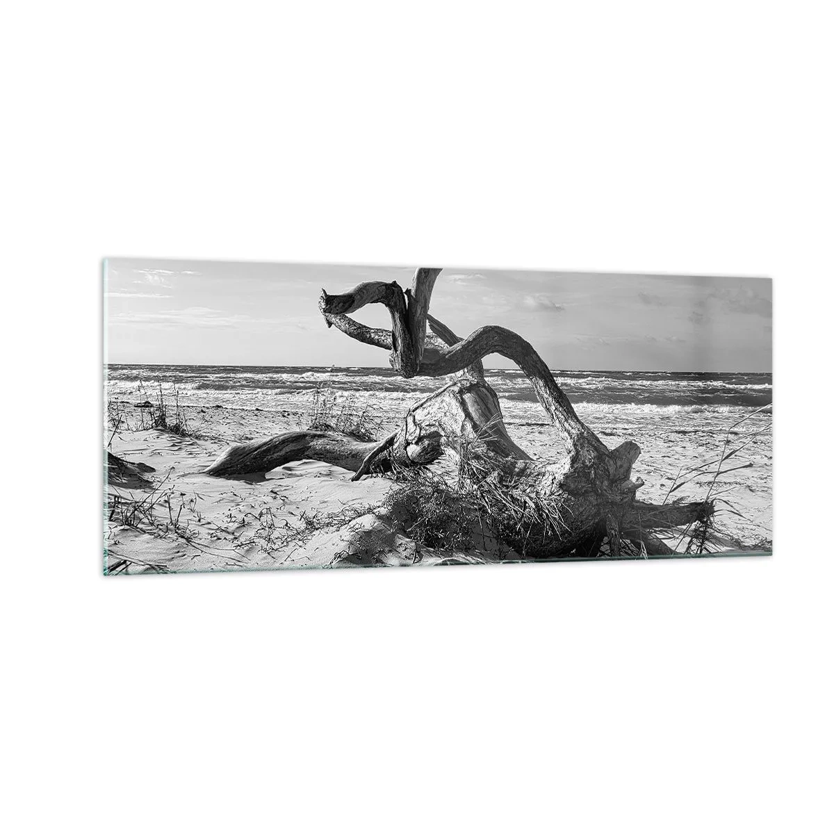 Quadro su vetro - Scolpito dal mare - 100x40 cm