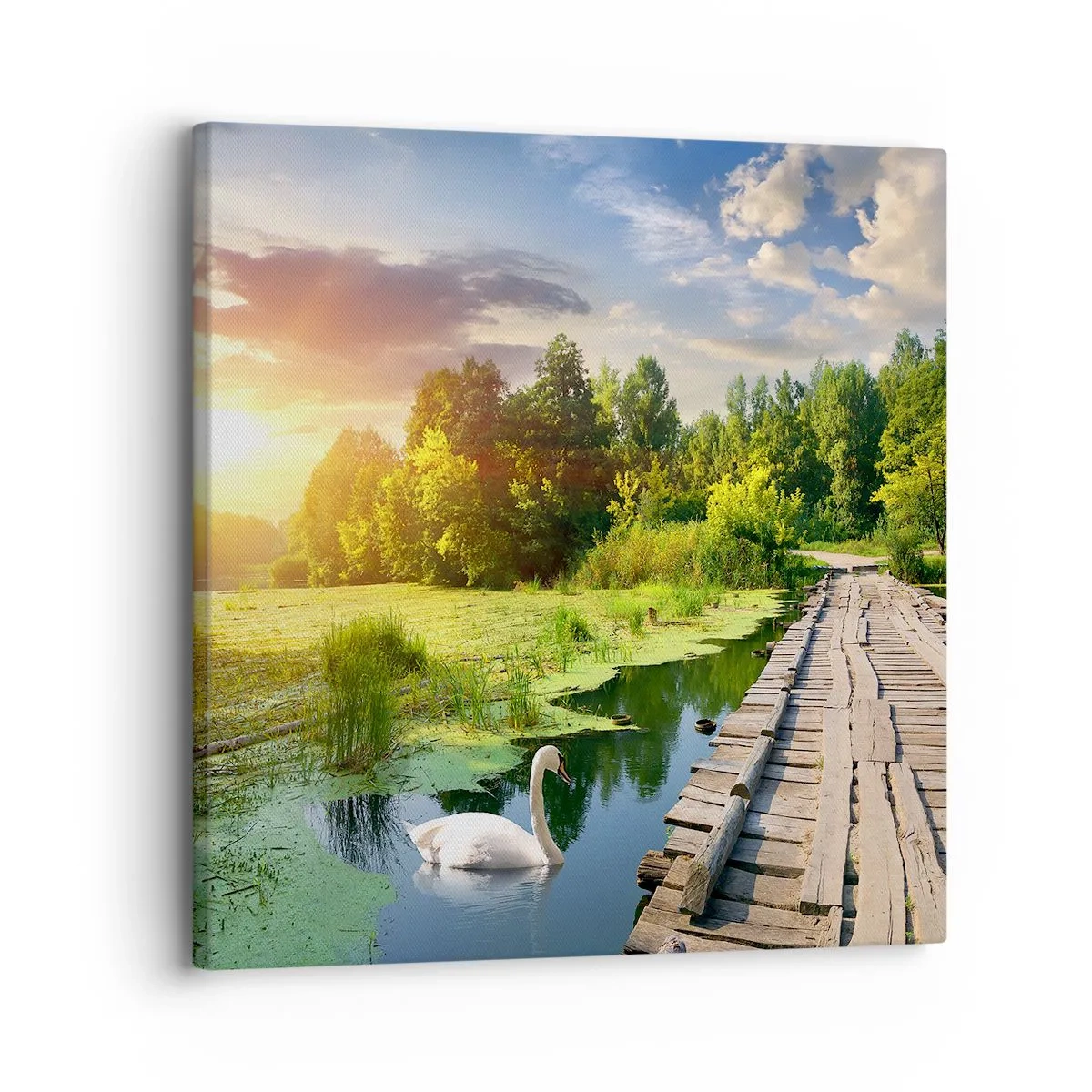 Quadro su tela - Stampe su Tela - Estate, estate ovunque - 30x30 cm
