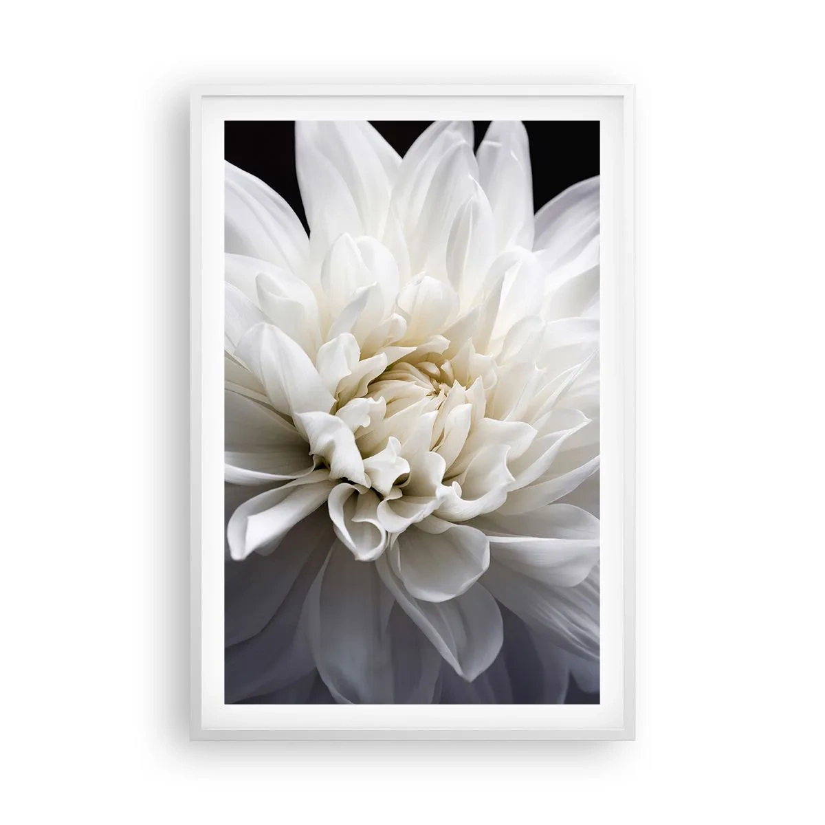 Poster in cornice bianca - Il mattino della sposa - 61x91 cm