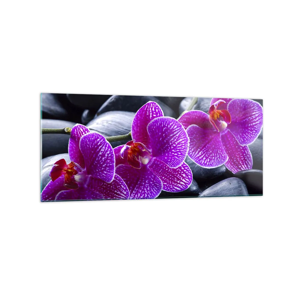 Quadro su vetro - Orchidee viola su uno sfondo di pietre nere - 120x50cm - Le pietre brillano di ammirazione - Decorazione murale moderna per soggiorno e camera da letto ARTTOR