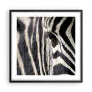 Poster in cornice nera - Ritratto a strisce - 50x50 cm