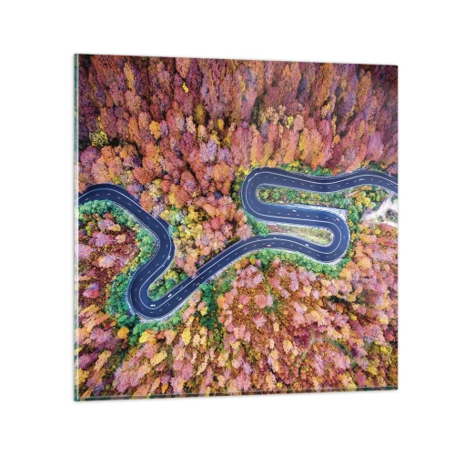 Quadro su vetro - Via tortuosa attraverso il bosco - 30x30 cm