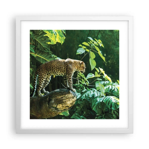 Poster in cornice bianca - A caccia? - 40x40 cm