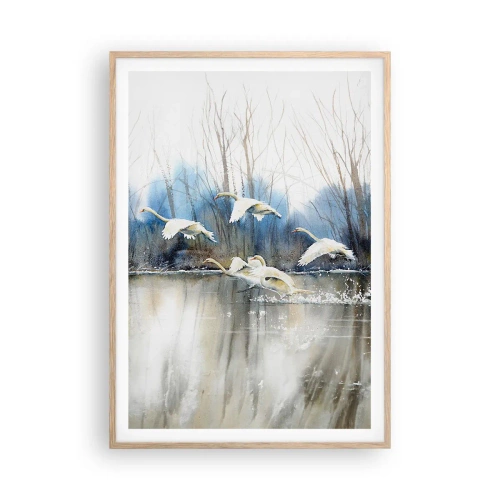 Poster in cornice rovere chiaro - Come la favola dei cigni selvatici - 70x100 cm