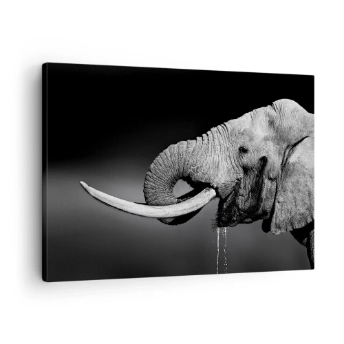 Quadro su tela - Stampe su Tela - Ritratto in bianco e nero di un elefante di profilo - 70x50cm - Si, adesso va bene - Decorazione murale moderna per soggiorno e camera da letto ARTTOR