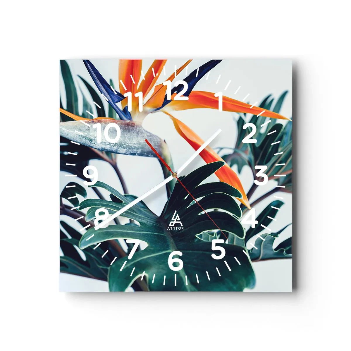 Orologio da parete - Orologio in Vetro - Pianta uccello - 40x40 cm