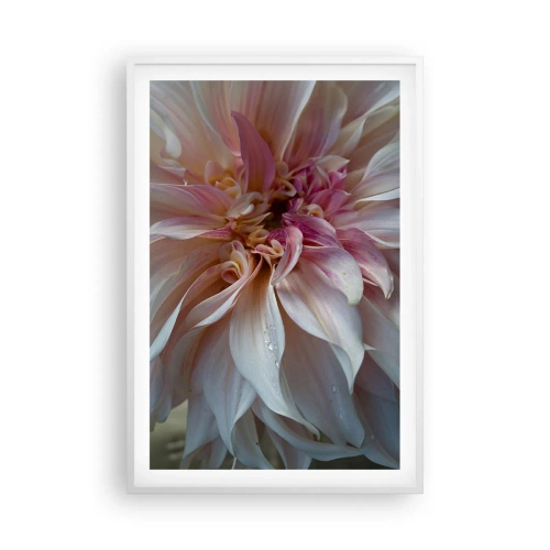 Poster in cornice bianca - Freschezza in fiore - 61x91 cm