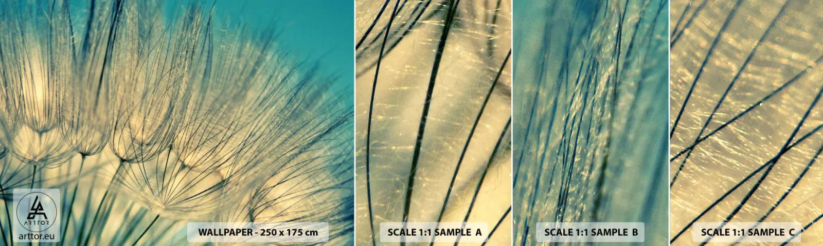 Campione Di Fotomurale Standard Eco - Aspettando il vento - Dente di leone, Prato, Natura - 100x30 cm