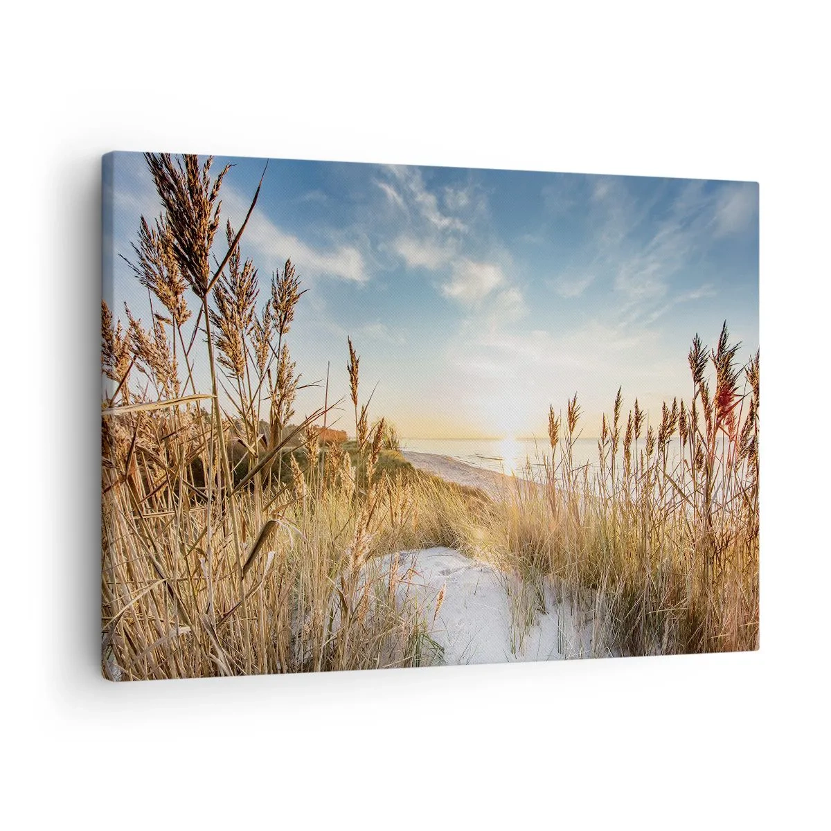 Quadro su tela - Stampe su Tela - Una spiaggia pittoresca con erba e il sole al tramonto - 70x50cm - Spiaggia del nord - Decorazione murale moderna per soggiorno e camera da letto ARTTOR
