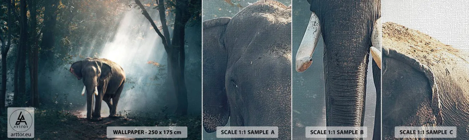 Campione di Fotomurale Premium Canvas - Tranquilla passeggiata - Animali, Elefante, Giungla - 100x30 cm