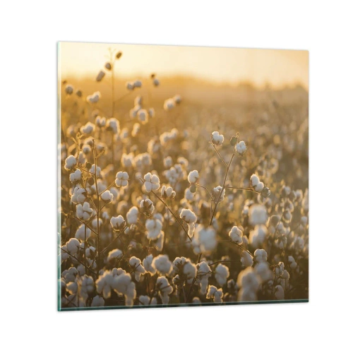 Quadro su vetro - Campo di morbidezza - 70x70 cm
