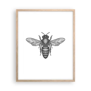 Poster in cornice rovere chiaro - Ritratto d'insetto - 40x50 cm