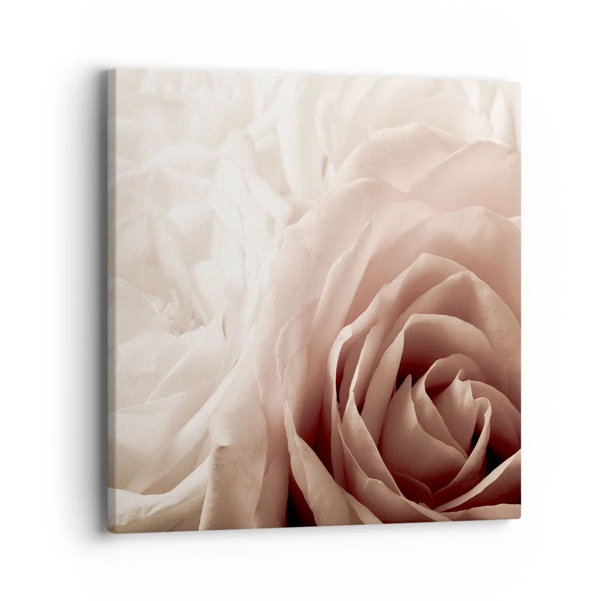 Quadro su tela - Stampe su Tela - Nel cuore della rosa - 40x40 cm