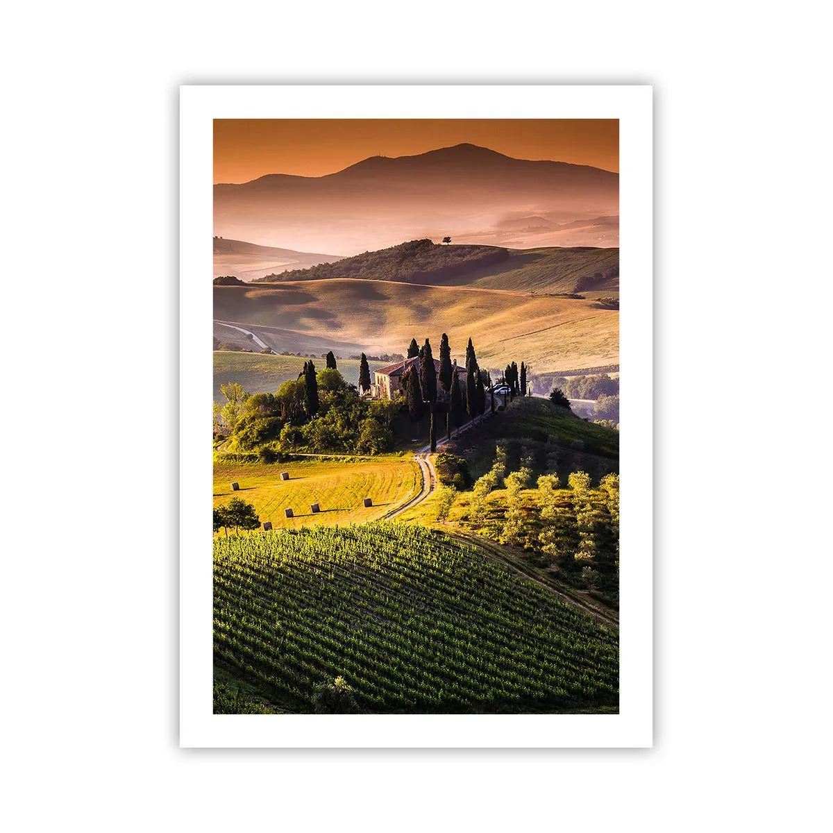 Poster - Paesaggio toscano con vigneti al tramonto - 50x70cm - Arcadia: paesaggio toscano - Decorazione murale moderna per soggiorno e camera da letto ARTTOR