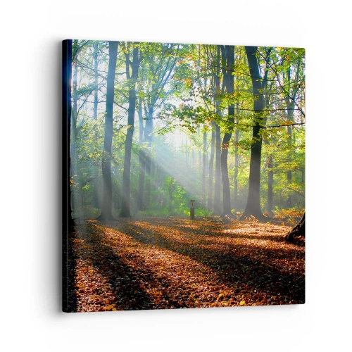 Quadro su tela - Stampe su Tela - Luci e ombre - 30x30 cm