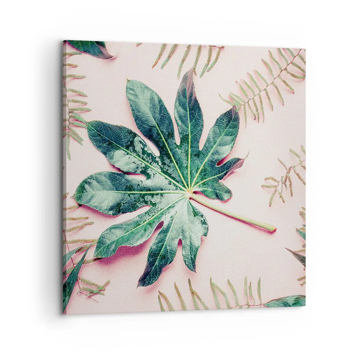 Quadro su tela - Stampe su Tela - Studio di verde su sfondo rosa - 60x60 cm