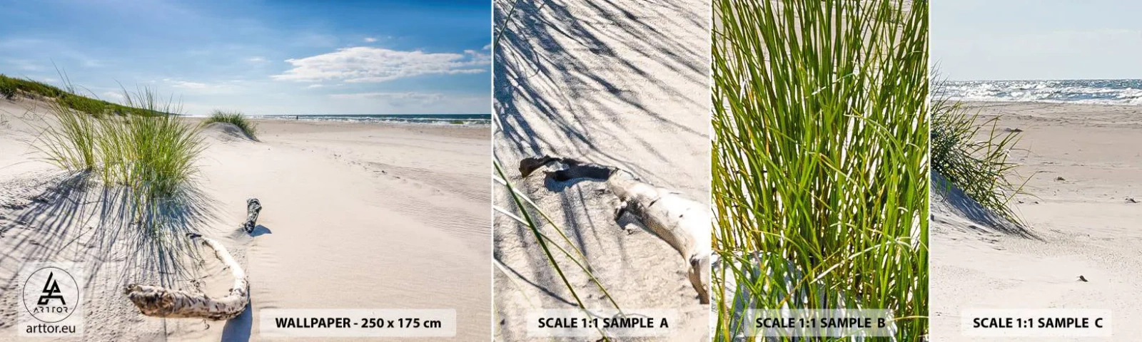 Campione Di Fotomurale Standard Eco - La più bella? Quella del baltico - Mare, Spiaggia, Duna - 100x30 cm