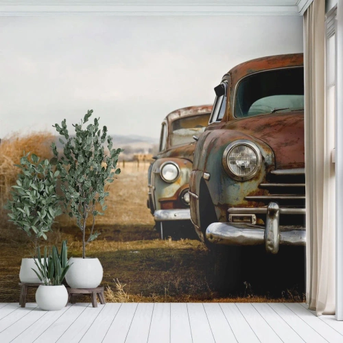 Fotomurali Autoadesivo Deluxe Sticker - Meritato riposo - Vecchia macchina, Settore automobilistico, Vintage ▾ - 350x256 cm