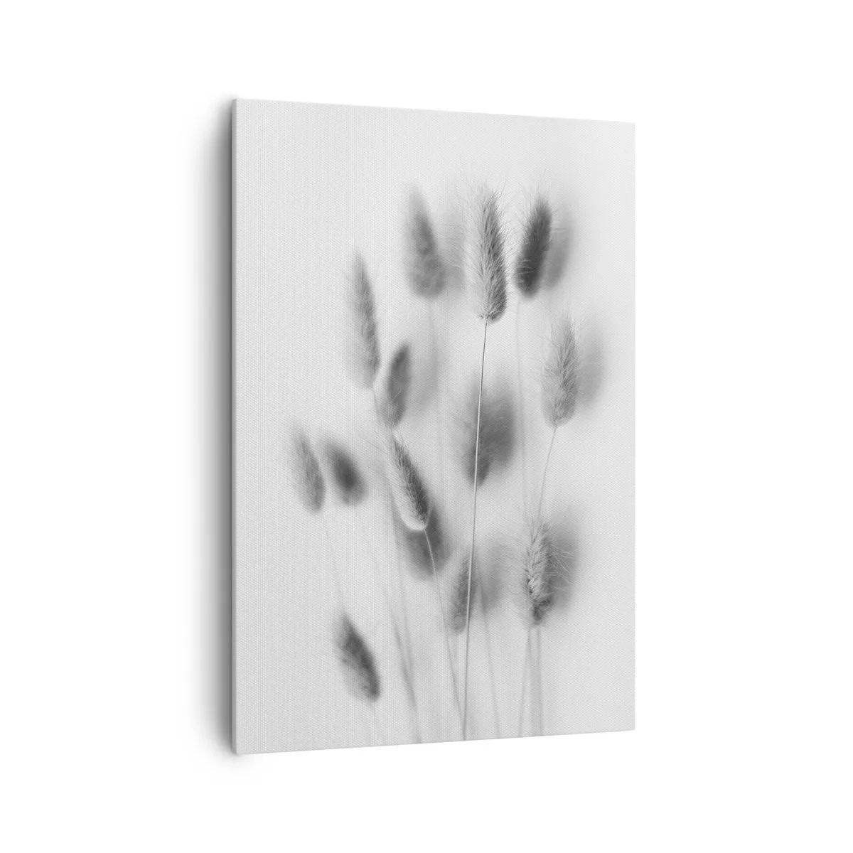 Quadro su tela - Stampe su Tela - Erbe delicate in tonalità di grigio su sfondo bianco - 70x100cm - Erba soffice - Decorazione murale moderna per soggiorno e camera da letto ARTTOR