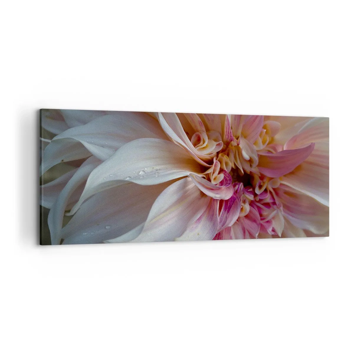Quadro su tela - Stampe su Tela - Primo piano di delicati petali di fiori rosa con gocce d'acqua - 120x50cm - Freschezza in fiore - Decorazione murale moderna per soggiorno e camera da letto ARTTOR