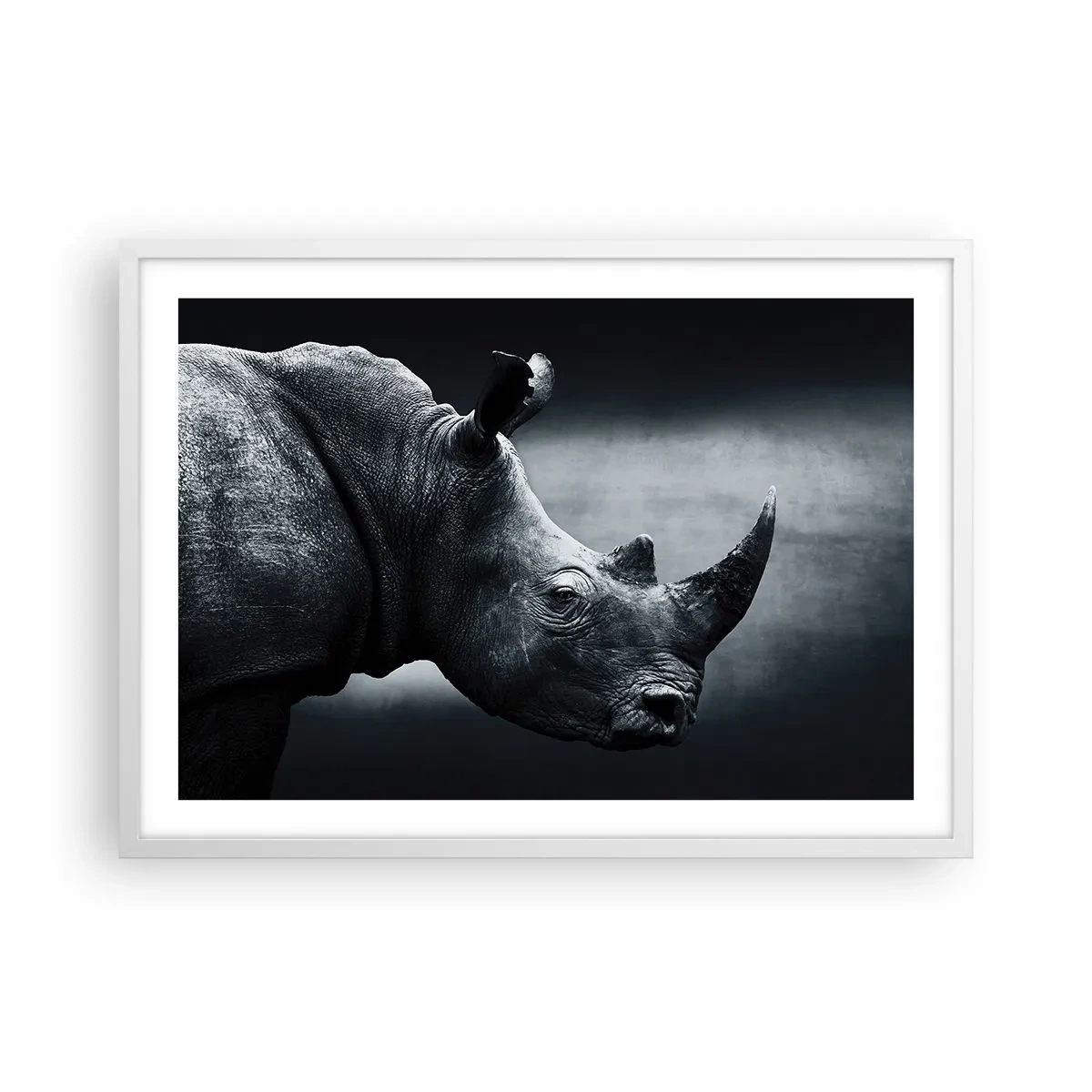 Poster in cornice bianca - Profilo destro - 70x50 cm