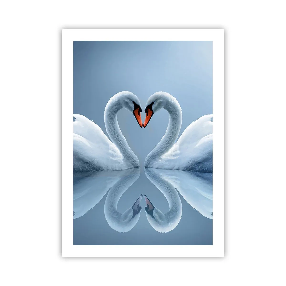 Poster - Cigni a forma di cuore contro il cielo - 50x70cm - Il tempo dell'amore - Decorazione murale moderna per soggiorno e camera da letto ARTTOR