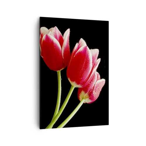 Quadro su tela - Stampe su Tela - Tulipani rossi con gocce di rugiada su sfondo nero - 70x100cm - Promessa di amore puro - Decorazione murale moderna per soggiorno e camera da letto ARTTOR