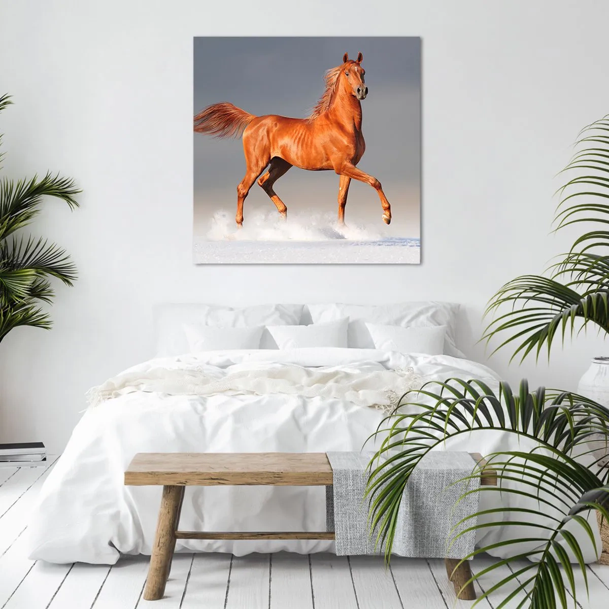 Quadro su tela - Stampe su Tela - Grazia danzante - 50x50 cm