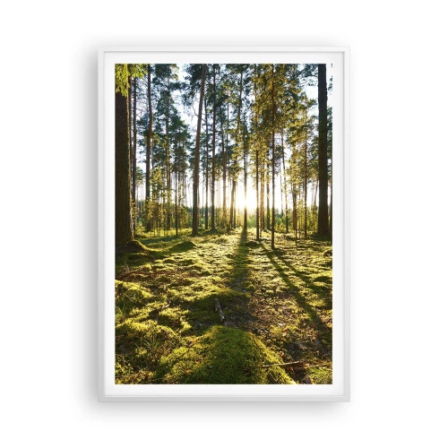 Poster in cornice bianca - …dopo sette foreste - 70x100 cm