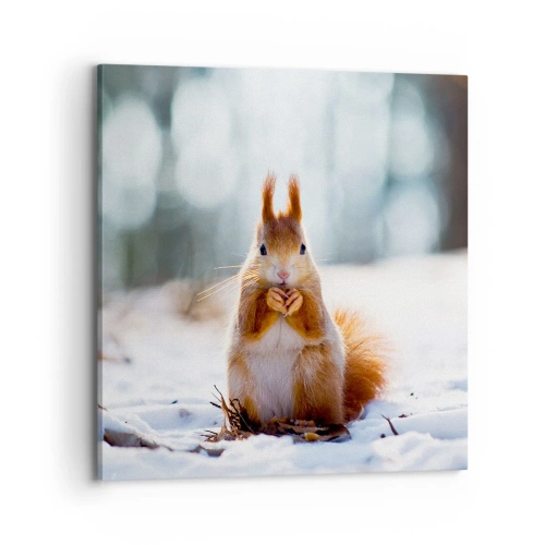 Quadro su tela - Stampe su Tela - Che cosa guardi? - 70x70 cm